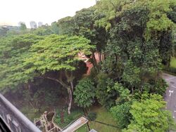 Botanic Gardens View (D10), Apartment #458057841